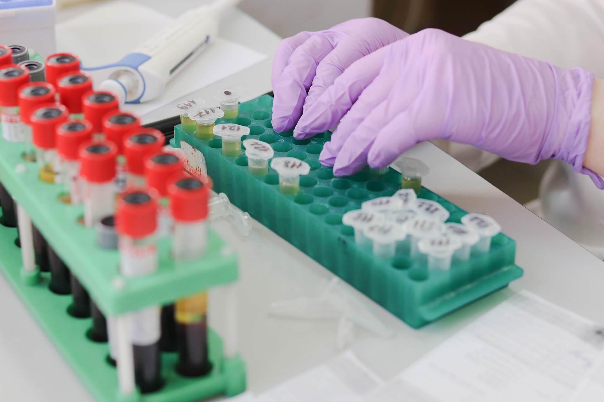A Frascati torna la Settimana della Scienza