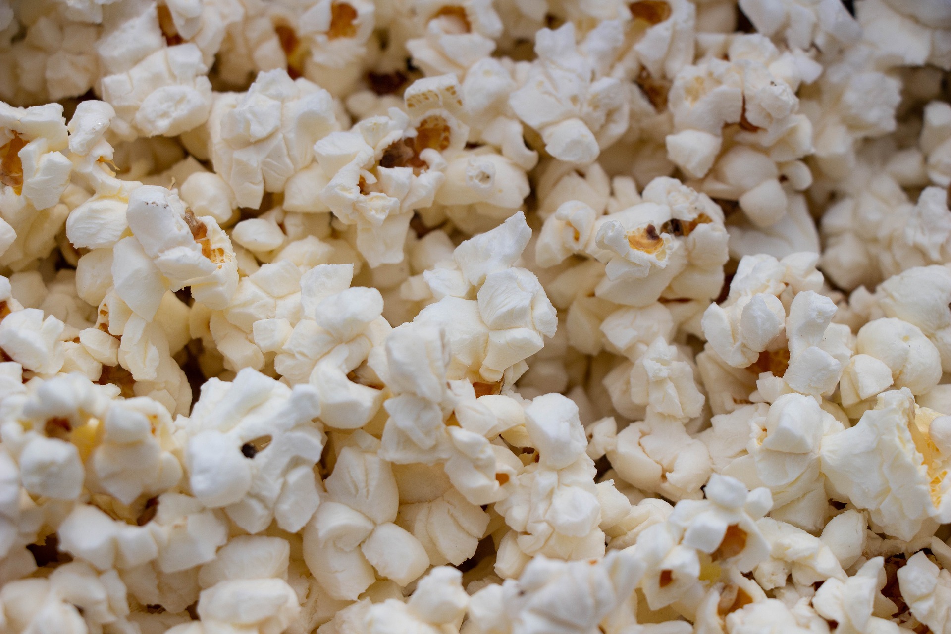 FONDIfilmFESTIVAL