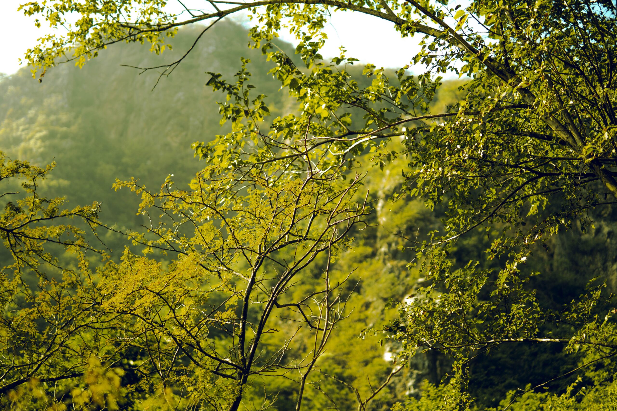 Oltre Roma, alla Riscoperta dei Borghi e della Natura
