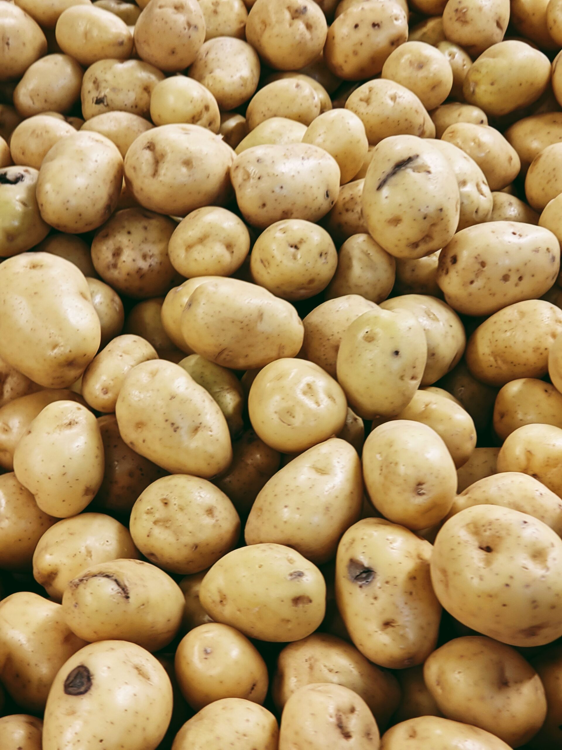 A Leonessa torna la Sagra della Patata