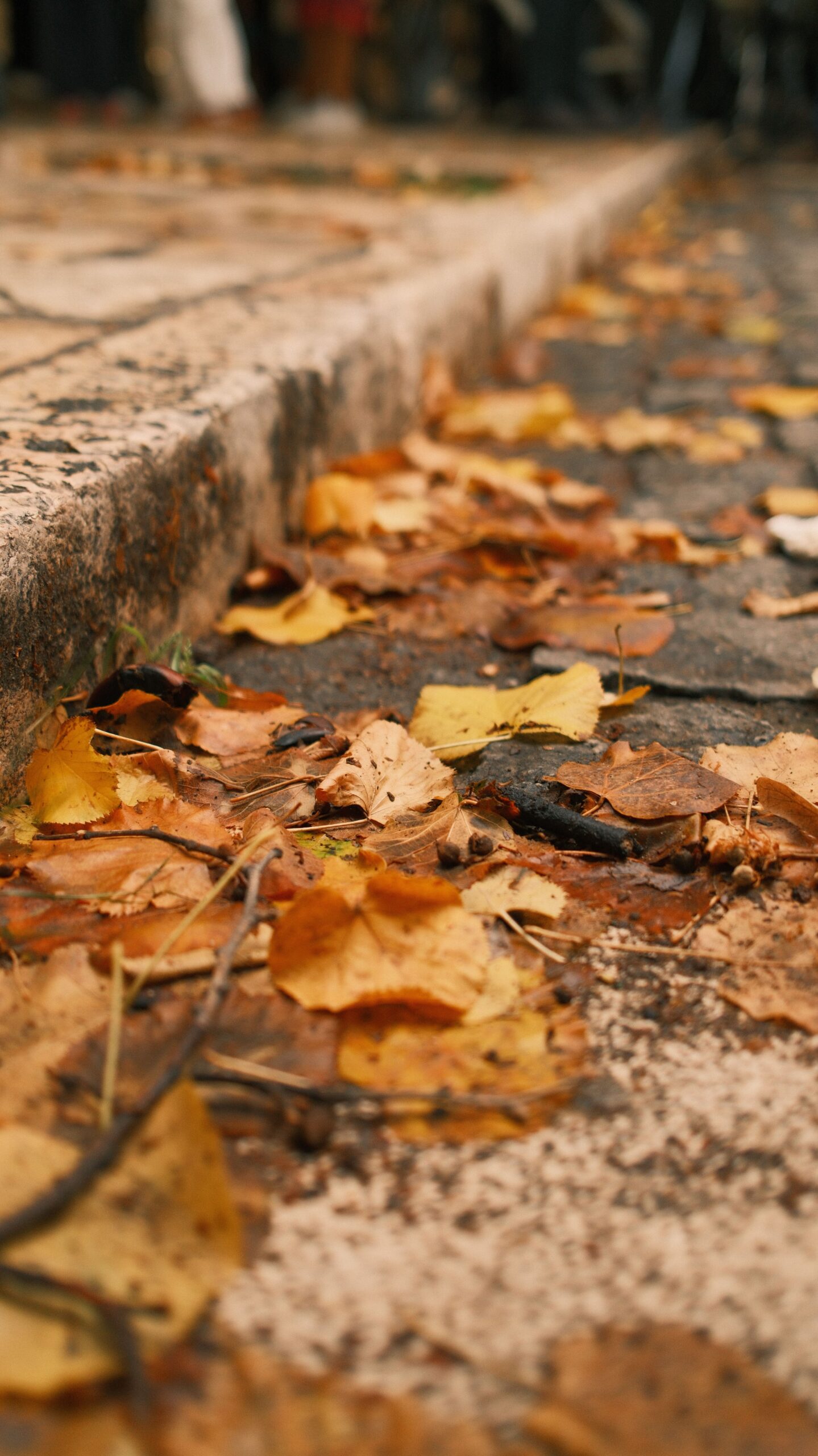 Festa d’Autunno a Ciciliano