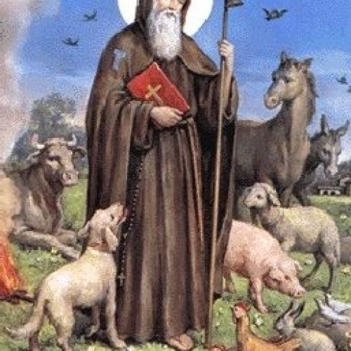 Il Trionfo del Fuoco e della Fede per Sant’Antonio Abate