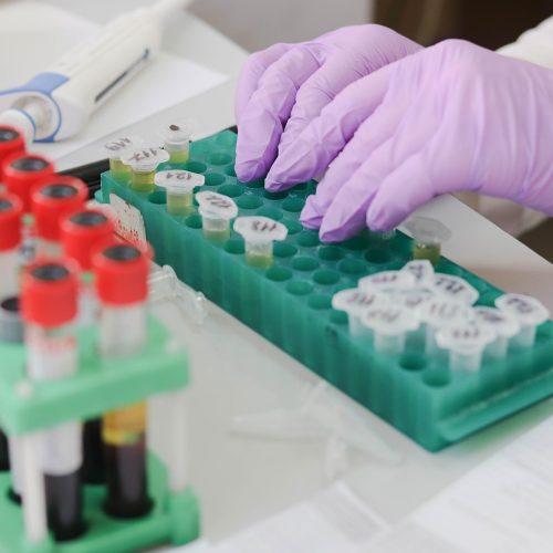A Frascati torna la Settimana della Scienza