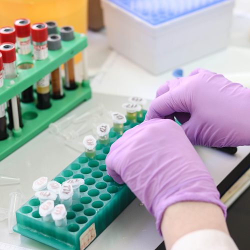 Settimana della Scienza