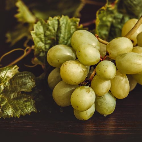 Sagra dell’Uva di Marino, il 26 e 27 settembre torna la grande festa dei Castelli Romani