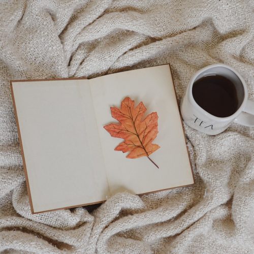 15 Consigli di Lettura per un Pomeriggio di Pioggia