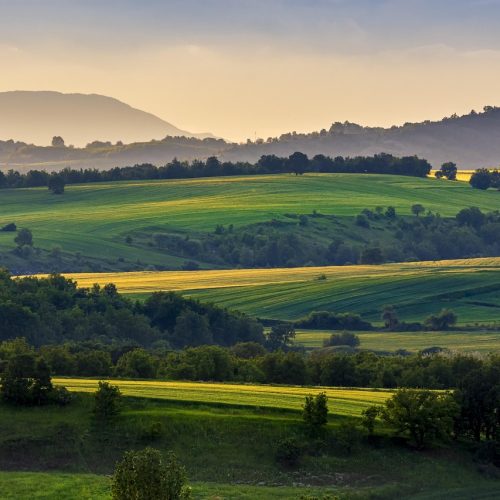 Lazio, approvata la Legge 193/2026: Nuovi contributi per l’agricoltura nelle zone montane