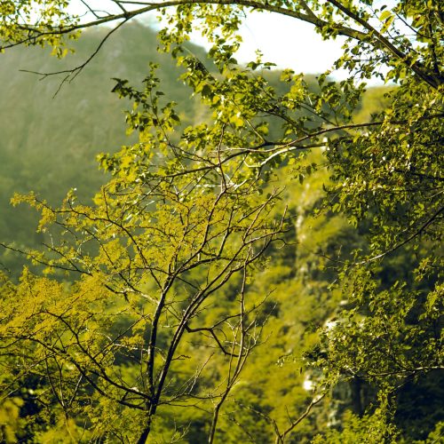 Oltre Roma, alla Riscoperta dei Borghi e della Natura