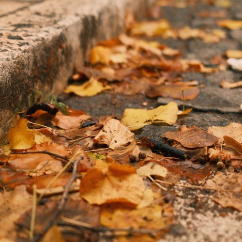 Festa d’Autunno a Ciciliano