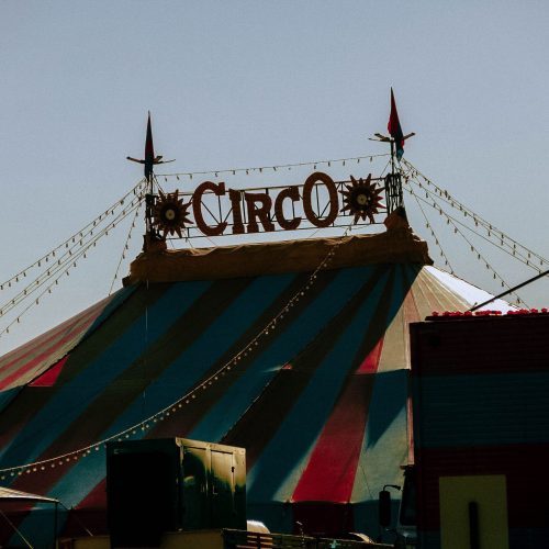 Latina : capitale internazionale del circo